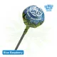 Bubbly Billy Buds 10 mg CBD lollipops in nine flavours