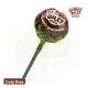 Bubbly Billy Buds 10 mg CBD lollipops in nine flavours