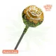 Bubbly Billy Buds 10 mg CBD lollipops in nine flavours