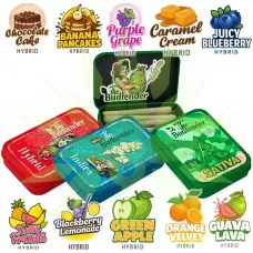Fruity & Desserts Flavour THCa Pre-Rolls Collectors Tin