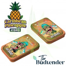 Caribbean Pineapple THCa Pre-Rolls Collectors Tin