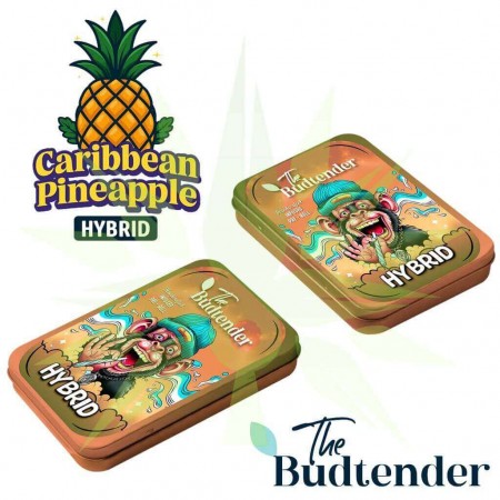 Caribbean Pineapple THCa Pre-Rolls Collectors Tin