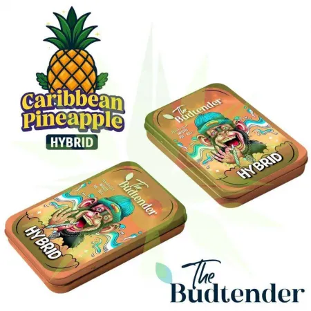 Caribbean Pineapple THCa Pre-Rolls Collectors Tin, Caribbean Pineapple Pre-rolls 2 Gr., 2 Gr. Collectors Edition Pre-Rolls Caribbean Pineapple THCa Pre-Rolls Collectors Tin