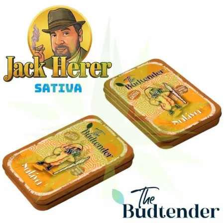 Jack Herer THCa Pre-Rolls Collectors Tin, Jack Herer Pre-rolls 2 Gr., 2 Gr. Collectors Edition Pre-Rolls Jack Herer THCa Pre-Rolls Collectors Tin