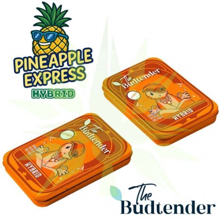 Pineapple Express THCa Pre-Rolls Collectors Tin