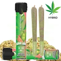 Guava Lava THCa Pre-roll