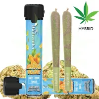 Orange Velvet THCa Pre-rolls