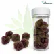 The Budtender - Raspberry - Sleepy Pastels