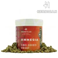 Amnesia - CBD Hemp Flower