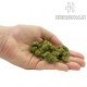 Super Lemon Haze - CBD Hemp Flower